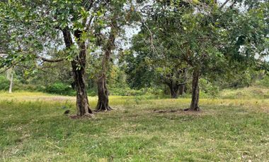 For Sale: Ocean View Lot in Dauin, Negros Oriental ID 14985