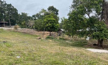 For Sale: Ocean View Lot in Dauin, Negros Oriental ID 14985