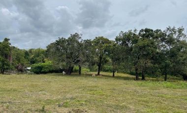 For Sale: Ocean View Lot in Dauin, Negros Oriental ID 14985