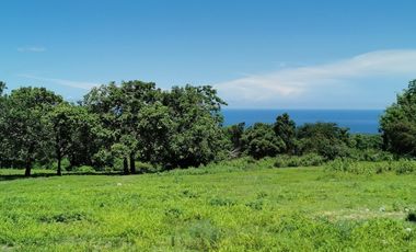 For Sale: Ocean View Lot in Dauin, Negros Oriental ID 14985