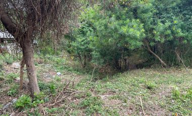 For Sale: Ocean View Lot in Dauin, Negros Oriental ID 14985
