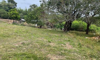 For Sale: Ocean View Lot in Dauin, Negros Oriental ID 14985