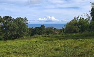 For Sale: Ocean View Lot in Dauin, Negros Oriental ID 14985