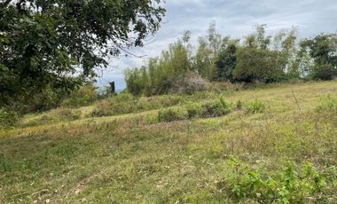 For Sale: Ocean View Lot in Dauin, Negros Oriental ID 14985