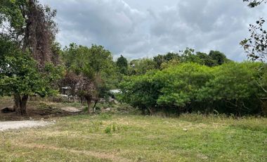 For Sale: Ocean View Lot in Dauin, Negros Oriental ID 14985