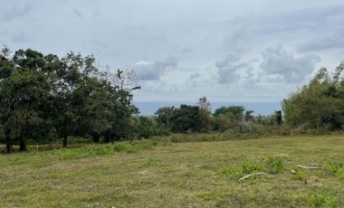 For Sale: Ocean View Lot in Dauin, Negros Oriental ID 14985