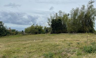 For Sale: Ocean View Lot in Dauin, Negros Oriental ID 14985