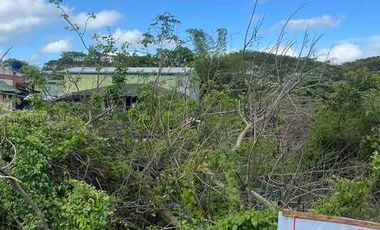 1033 sqm Commercial Vacant Lot for SALE, Gloria, Oriental Mindoro