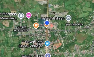 1033 sqm Commercial Vacant Lot for SALE, Gloria, Oriental Mindoro