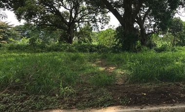 Lot for Sale in The Orchard Residential Estates, Dasmariñas, Cavite