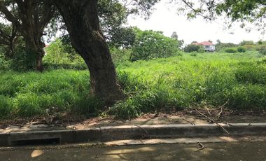 Lot for Sale in The Orchard Residential Estates, Dasmariñas, Cavite