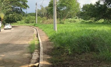 Lot for Sale in The Orchard Residential Estates, Dasmariñas, Cavite