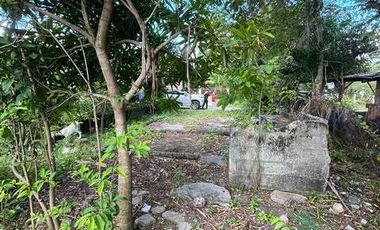 200 sqm Commercial Vacant Lot Beach Front for Sale Quinabuigan, Pinamalayan, Or