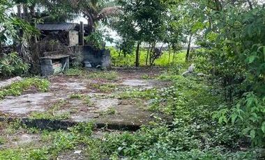 200 sqm Commercial Vacant Lot Beach Front for Sale Quinabuigan, Pinamalayan, Or