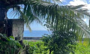200 sqm Commercial Vacant Lot Beach Front for Sale Quinabuigan, Pinamalayan, Or