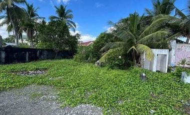 200 sqm Commercial Vacant Lot Beach Front for Sale Quinabuigan, Pinamalayan, Or