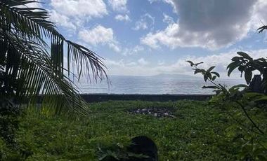 200 sqm Commercial Vacant Lot Beach Front for Sale Quinabuigan, Pinamalayan, Or