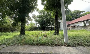 For Lease Commercial Lot Along Fil- Am Friendship Road Angeles City near Clark