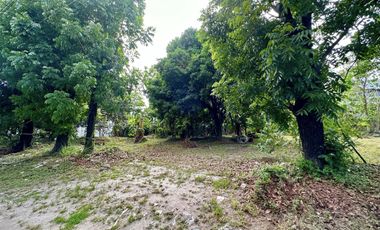 For Lease Commercial Lot Along Fil- Am Friendship Road Angeles City near Clark