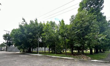 For Lease Commercial Lot Along Fil- Am Friendship Road Angeles City near Clark