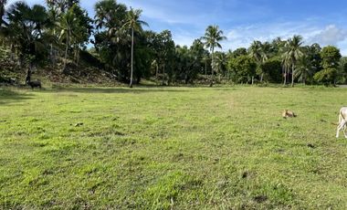1,600 Sqm Lot For Sale in Tangalan, Aklan - Only 2,500 per Sqm