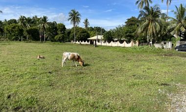 1,600 Sqm Lot For Sale in Tangalan, Aklan - Only 2,500 per Sqm