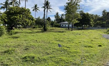 1,600 Sqm Lot For Sale in Tangalan, Aklan - Only 2,500 per Sqm