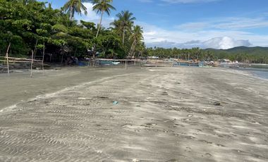 1,600 Sqm Lot For Sale in Tangalan, Aklan - Only 2,500 per Sqm