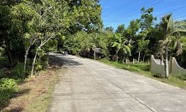 1,600 Sqm Lot For Sale in Tangalan, Aklan - Only 2,500 per Sqm
