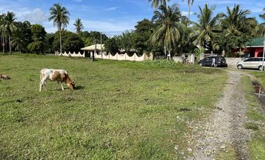 1,600 Sqm Lot For Sale in Tangalan, Aklan - Only 2,500 per Sqm