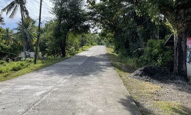 1,600 Sqm Lot For Sale in Tangalan, Aklan - Only 2,500 per Sqm
