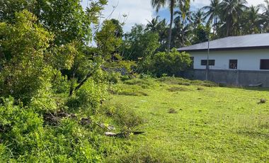 1,600 Sqm Lot For Sale in Tangalan, Aklan - Only 2,500 per Sqm