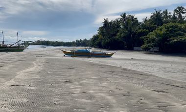 1,600 Sqm Lot For Sale in Tangalan, Aklan - Only 2,500 per Sqm