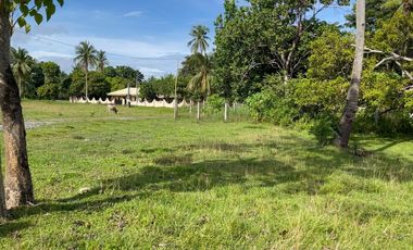 1,600 Sqm Lot For Sale in Tangalan, Aklan - Only 2,500 per Sqm
