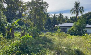 1,600 Sqm Lot For Sale in Tangalan, Aklan - Only 2,500 per Sqm