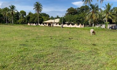 1,600 Sqm Lot For Sale in Tangalan, Aklan - Only 2,500 per Sqm