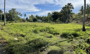 1,600 Sqm Lot For Sale in Tangalan, Aklan - Only 2,500 per Sqm