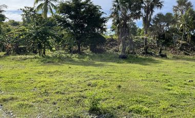 1,600 Sqm Lot For Sale in Tangalan, Aklan - Only 2,500 per Sqm