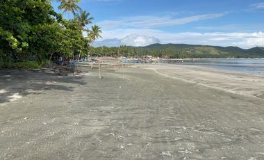 1,600 Sqm Lot For Sale in Tangalan, Aklan - Only 2,500 per Sqm