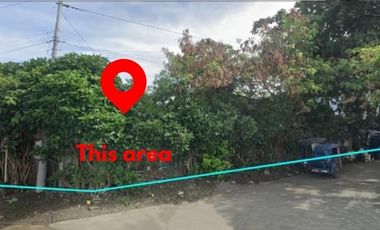 FOR SALE: 405SQM Lot at Imelda Boulevard, Virac, Catanduanes