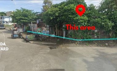 FOR SALE: 405SQM Lot at Imelda Boulevard, Virac, Catanduanes