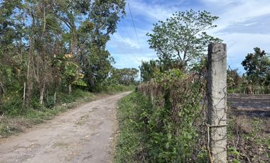 Prime Residential Lot in San Miguel, Bacong, Negros Oriental  ID 14982