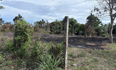 Prime Residential Lot in San Miguel, Bacong, Negros Oriental  ID 14982