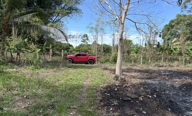 Prime Residential Lot in San Miguel, Bacong, Negros Oriental  ID 14982