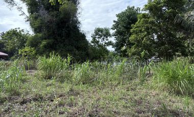 Prime Residential Lot in San Miguel, Bacong, Negros Oriental  ID 14982