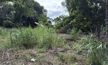 Prime Residential Lot in San Miguel, Bacong, Negros Oriental  ID 14982