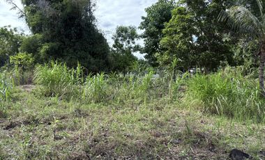 Prime Residential Lot in San Miguel, Bacong, Negros Oriental  ID 14982
