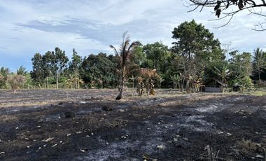 Prime Residential Lot in San Miguel, Bacong, Negros Oriental  ID 14982