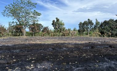 Prime Residential Lot in San Miguel, Bacong, Negros Oriental  ID 14982