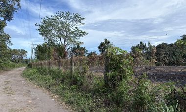 Prime Residential Lot in San Miguel, Bacong, Negros Oriental  ID 14982